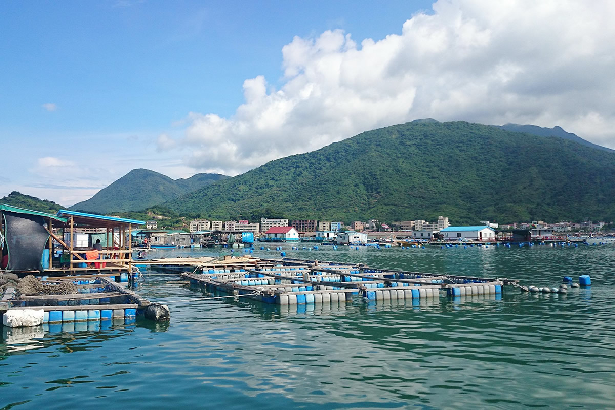 大鹏湾野生海鲜养殖基地